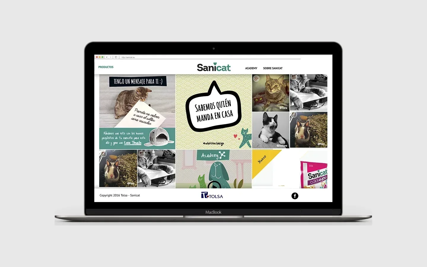 Portada de la web de Sanicat en un MacBook, con el mosaico de fotos de mascotas y el mensaje de marca